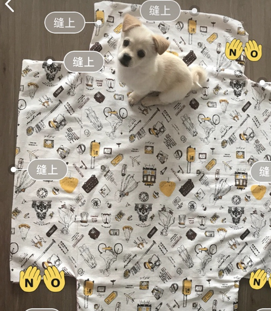 DIY狗窝教程，简单又省钱，狗狗：我的主人最优秀！