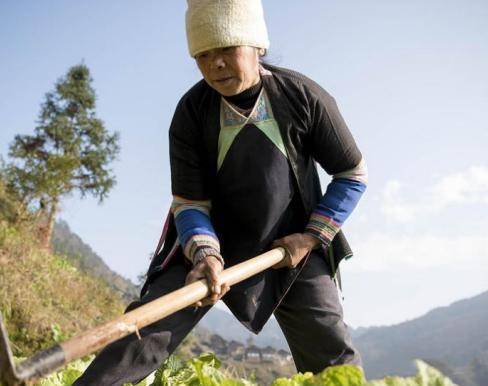 40年前，那位印在壹元人民币上的侗族女孩，现在过得怎么样了？