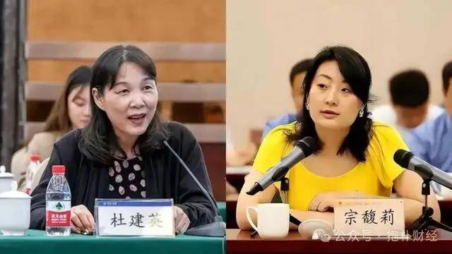 双方遗嘱矛盾，宗馥莉杜建英谁能笑到最后？